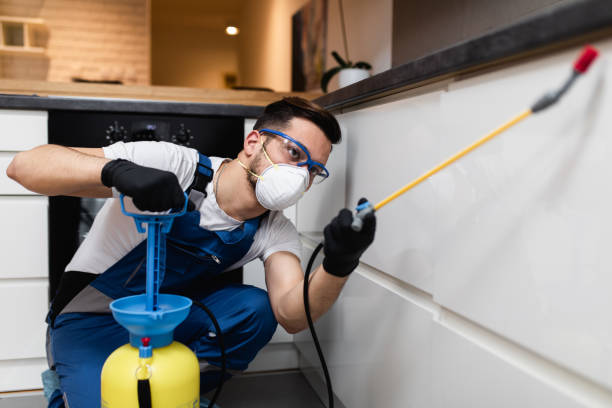 Best Commercial Pest Control Services  in Red Boiling Springs, TN