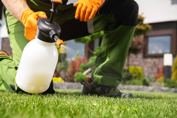 Best Cockroach Control Services  in Red Boiling Springs, TN
