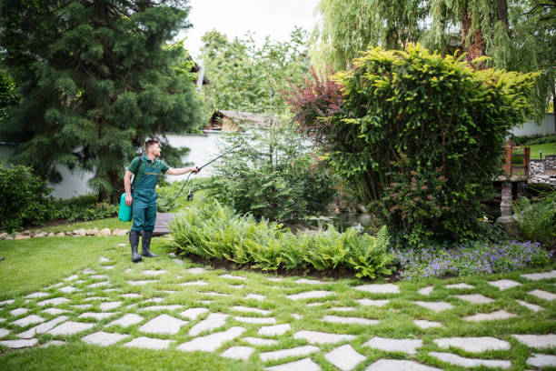 Best Best Pest Control Companies  in Red Boiling Springs, TN