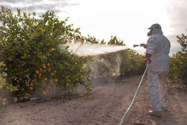 Best Ant Control Services  in Red Boiling Springs, TN