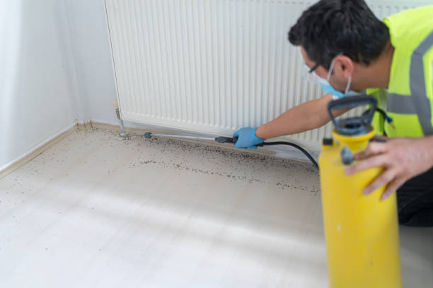 Best Mosquito Control Services  in Red Boiling Springs, TN