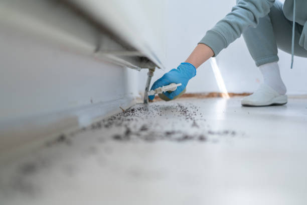 Reliable Red Boiling Springs, TN Pest Control Solutions
